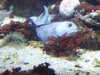20080802165204-DSCF2361.JPG