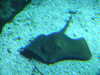 20080802165444-DSCF2365.JPG