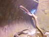 20080802165542-DSCF2366.JPG
