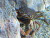 20080802165628-DSCF2369.JPG