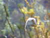 20080802170019-DSCF2374.JPG