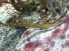 20080802170042-DSCF2376.JPG