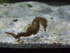 20080802170158-DSCF2378.JPG