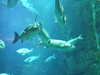 20080802170420-DSCF2382.JPG