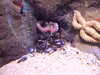 20080802171131-DSCF2389.JPG