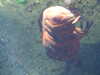 20080802171315-DSCF2391.JPG