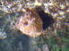 20080802171328-DSCF2392.JPG