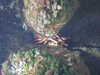 20080802171346-DSCF2393.JPG