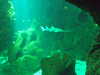 20080802173412-DSCF2417.JPG