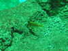 20080802173422-DSCF2418.JPG