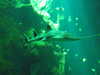 20080802173557-DSCF2421.JPG