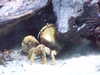 20080802174055-DSCF2428.JPG