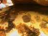 20080802174133-IMAGE_348.jpg
