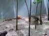 20080802174140-DSCF2429.JPG