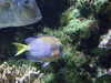 20080802174435-DSCF2435.JPG