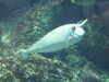 20080802174542-DSCF2436.JPG