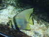 20080802174635-DSCF2437.JPG