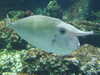 20080802174639-DSCF2438.JPG