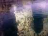 20080802174711-IMAGE_353.jpg