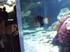20080802175107-DSCF2449.JPG