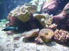 20080802175155-DSCF2451.JPG