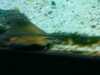 20080802175212-IMAGE_361.jpg