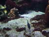 20080802175250-DSCF2453.JPG
