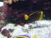 20080802175307-DSCF2454.JPG