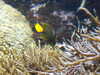20080802175449-DSCF2457.JPG