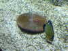 20080802175456-DSCF2458.JPG