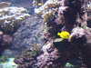 20080802175600-DSCF2461.JPG