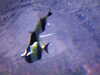 20080802175614-DSCF2462.JPG