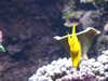 20080802175622-DSCF2463.JPG