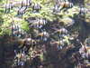 20080802175718-DSCF2466.JPG