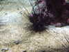 20080802175729-DSCF2467.JPG