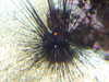20080802175736-DSCF2468.JPG