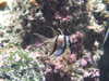 20080802175747-DSCF2469.JPG