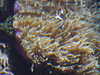 20080802175907-DSCF2472.JPG