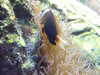 20080802175919-DSCF2473.JPG