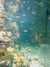 20080802175952-IMAG0370.jpg