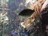 20080802175956-DSCF2475.JPG