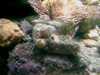 20080802180007-IMAG0371.jpg