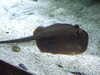 20080802180056-DSCF2480.JPG