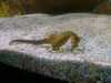 20080802180125-IMAG0374.jpg