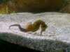 20080802180134-IMAG0375.jpg