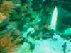 20080802180326-IMAG0380.jpg