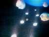 20080802180444-IMAG0383.jpg
