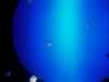 20080802180512-IMAG0385.jpg