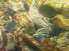 20080802180717-IMAG0387.jpg