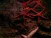 20080802180938-IMAG0390.jpg